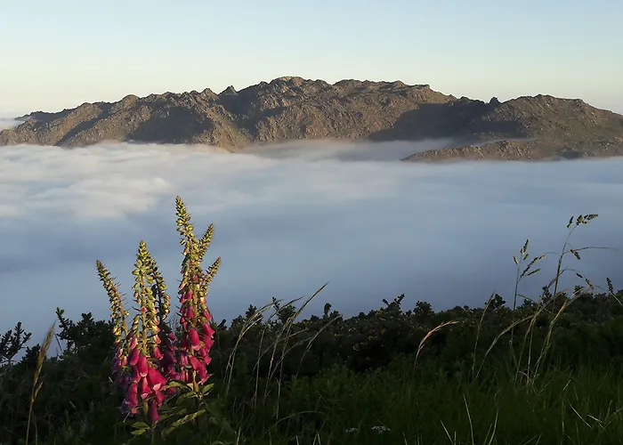 Hospedium Morada Da Moa